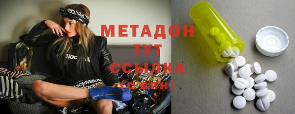 прущие грибы Аркадак