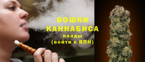прущие грибы Аркадак