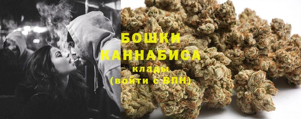 прущие грибы Аркадак