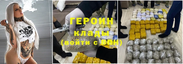 прущие грибы Аркадак