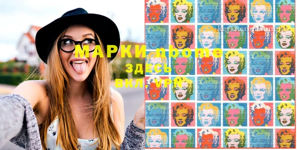прущие грибы Аркадак