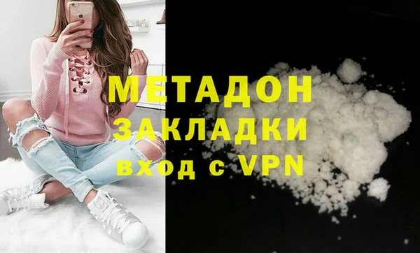 прущие грибы Аркадак